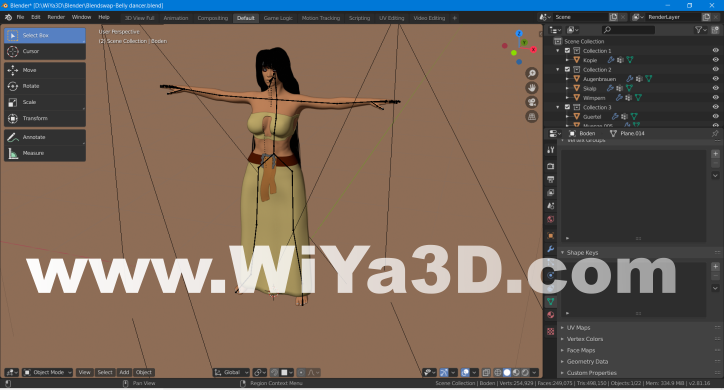 Blender Rigging