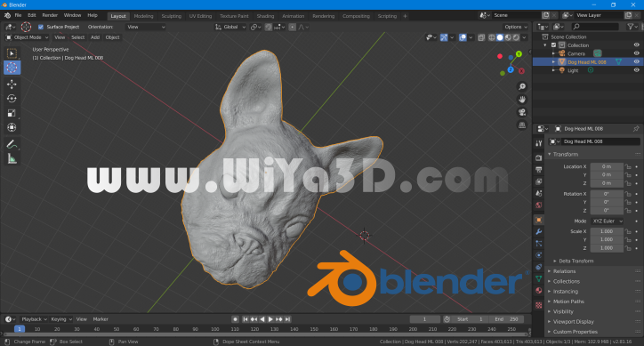 Top 3D Animation Software | 3D Modeling & Animation Software 
