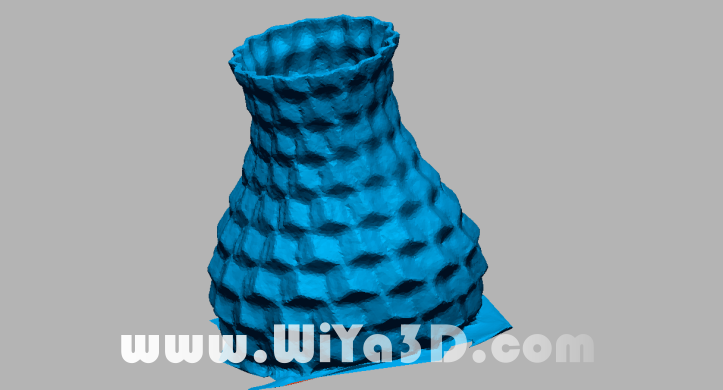 Mesh of the 3D Scanned Object