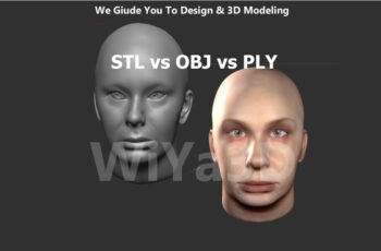 Difference Between STL vs OBJ vs PLY File Formats